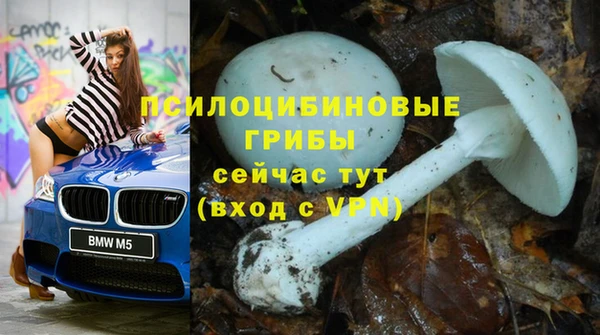 не бодяженный Абинск