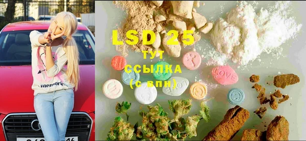 спиды Болотное