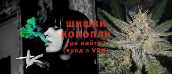 сатива Пестово