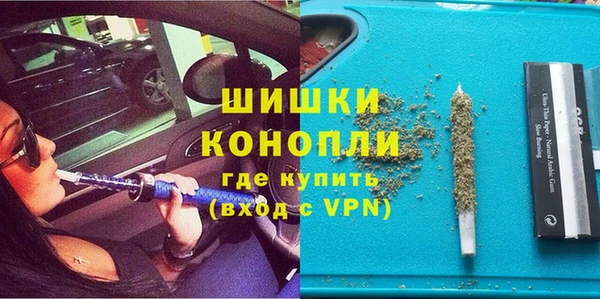 сатива Пестово